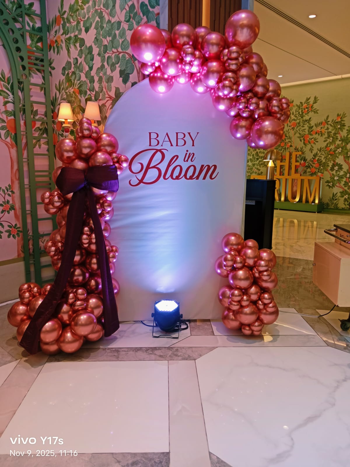 whatsapp image 20236 03 13 at 11.49.57 am